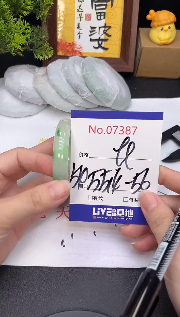 未镶嵌手镯翡翠7387