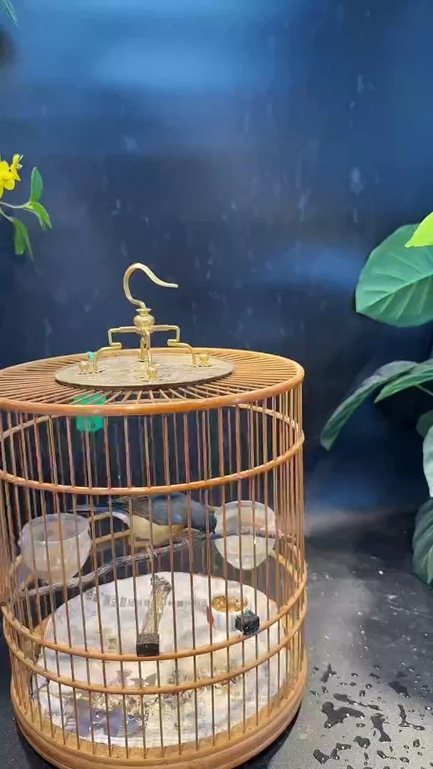 43号  山岚养笼  0元起拍