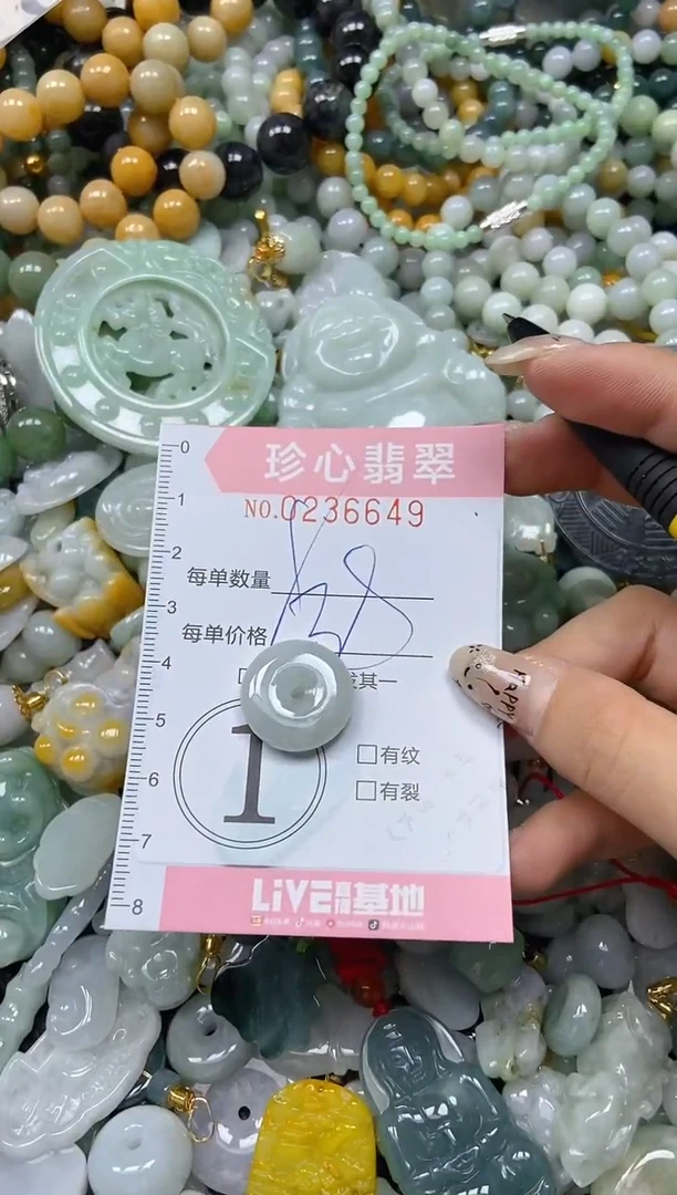 翡翠未镶嵌颈饰闪购0236649