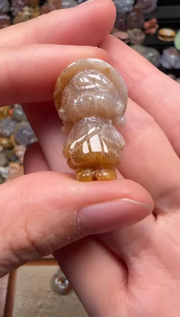 颈饰未镶嵌硅化珊瑚（珊瑚玉）597
