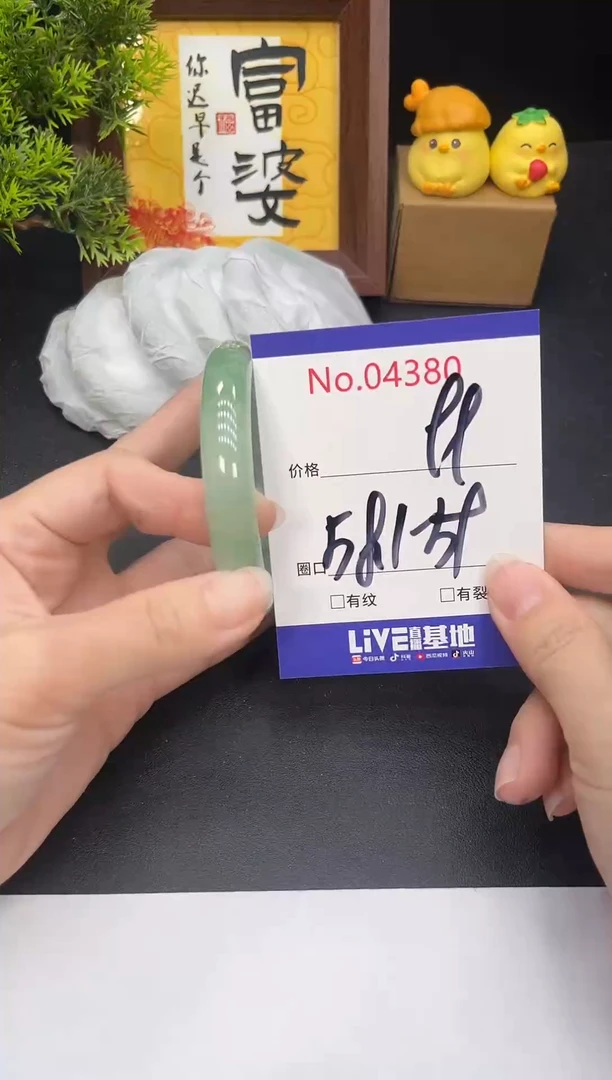 未镶嵌手镯翡翠4380