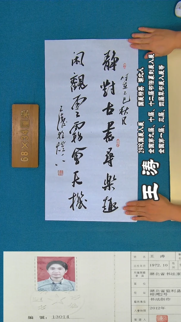 书法55a王涛书法作品