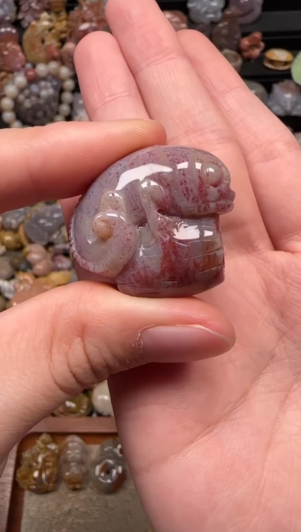 颈饰未镶嵌硅化珊瑚（珊瑚玉）590