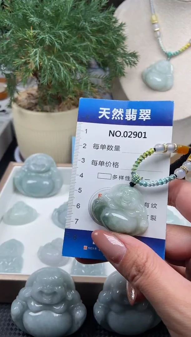 颈饰未镶嵌翡翠纯天然A货翡翠2901