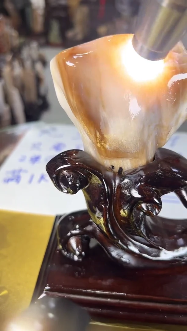 未镶嵌珠宝奇石硅化玉缅甸天然树化玉摆件