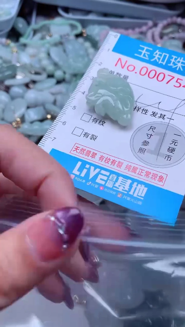 翡翠未镶嵌吊坠(不含链)7546