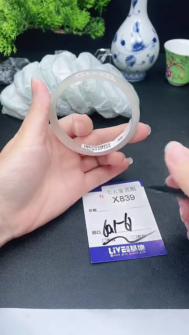 未镶嵌手镯翡翠839