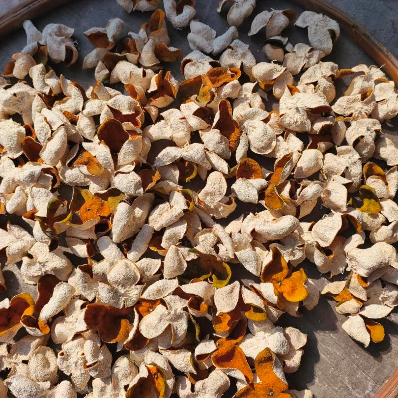 【新会天马2024大红小皮】正宗干陈皮圈枝滋补生态全生晒泡茶水L