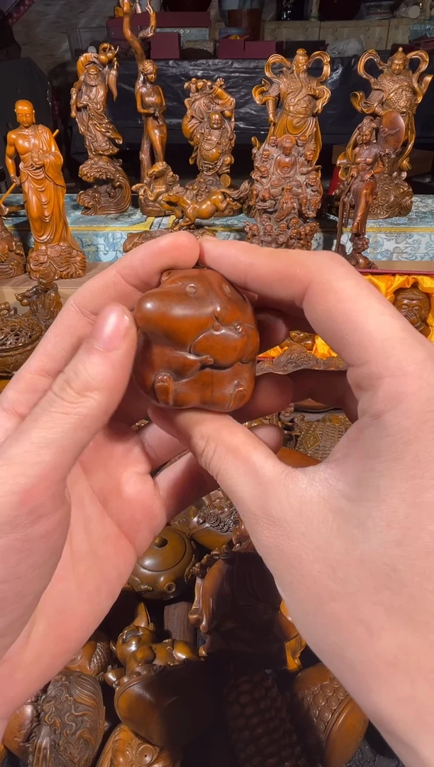 黄杨木11111111111