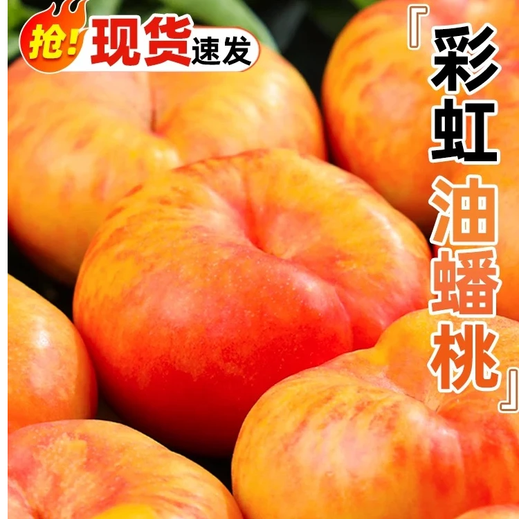 【现摘现摘】彩虹油蟠桃黄金蜜桃皮薄多汁夏日应季水果香甜