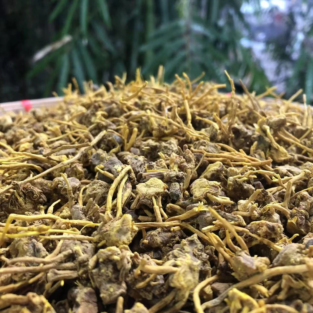 1【龙-须-石-斛-菇】净含量500g-1000g【万万现收】