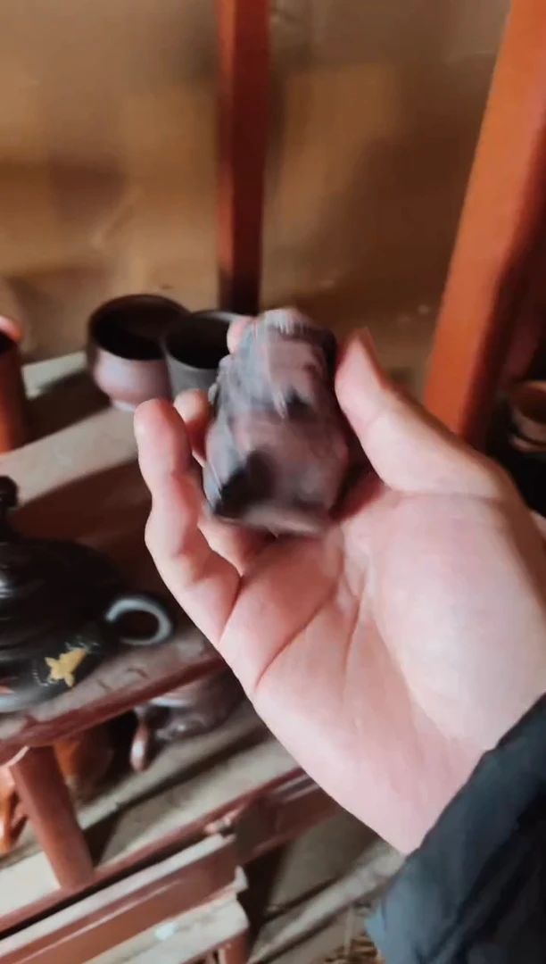 【闪购商品】紫砂茶壶紫砂紫砂