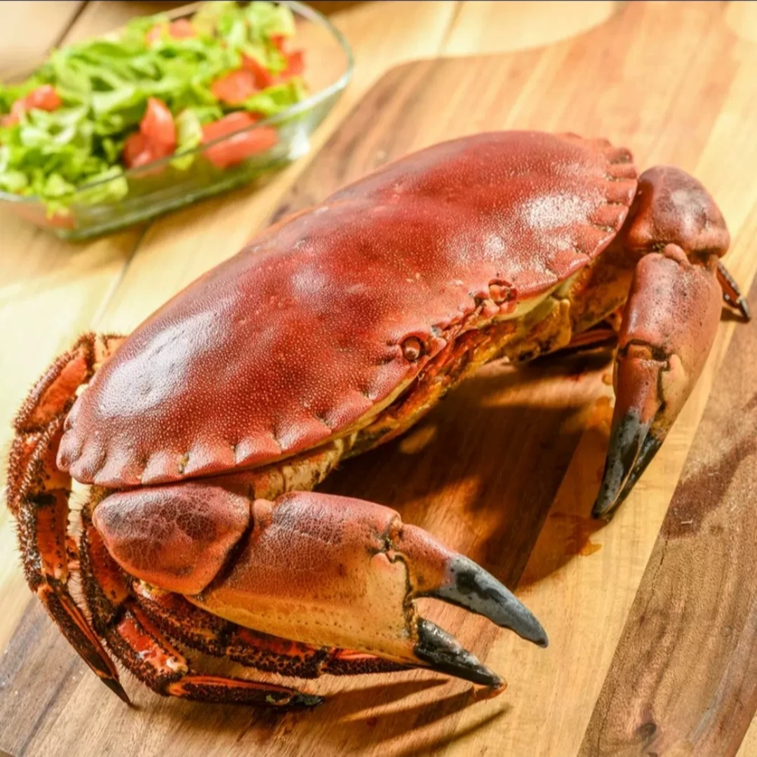 面包蟹 江浙沪皖及福建充氧活发【保鲜不保活】其余地区需压冰发货