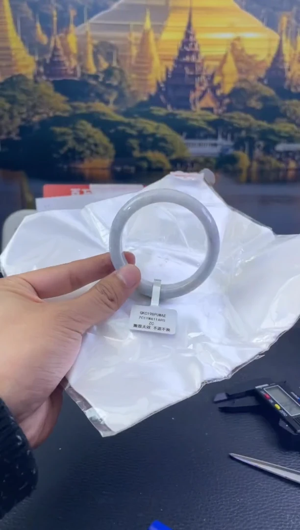 未镶嵌手镯翡翠4