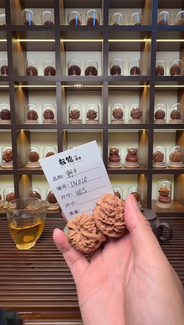把件文玩核桃yn020野牛40.5