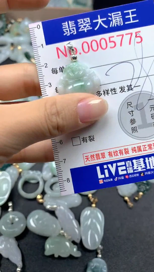 翡翠未镶嵌吊坠(不含链)5775