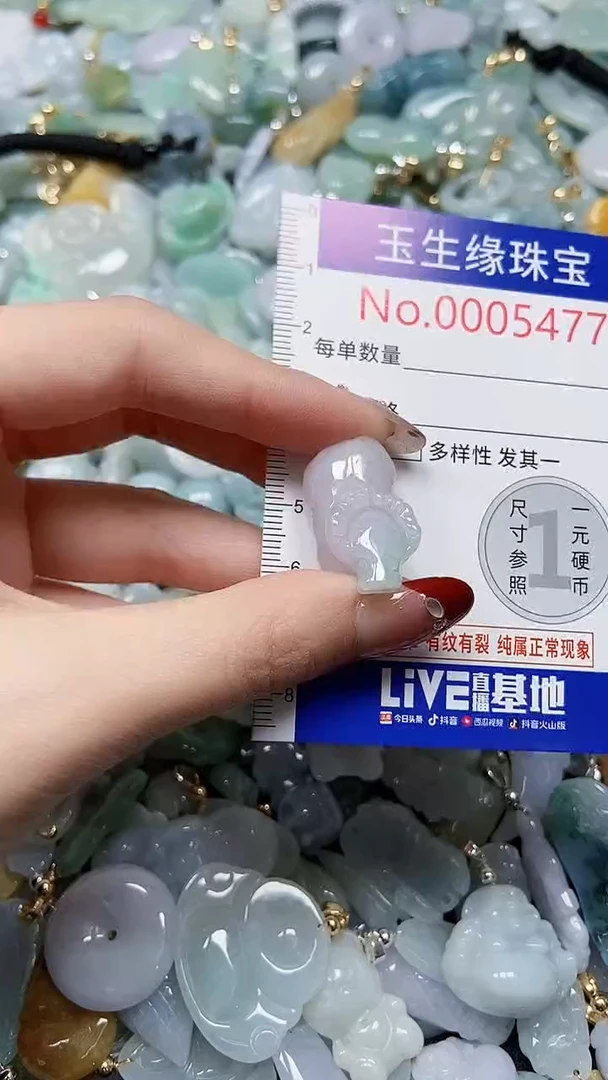 【闪购商品】翡翠颈饰未镶嵌闪购00005477
