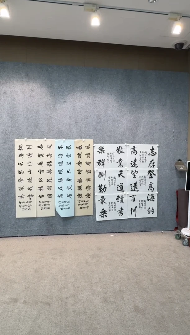 【闪购商品】书法pmb不二轩旗舰店国画ZHM5