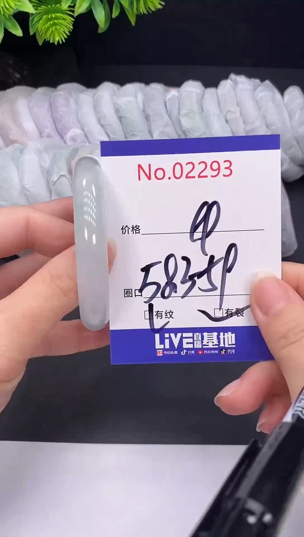 未镶嵌手镯翡翠2293
