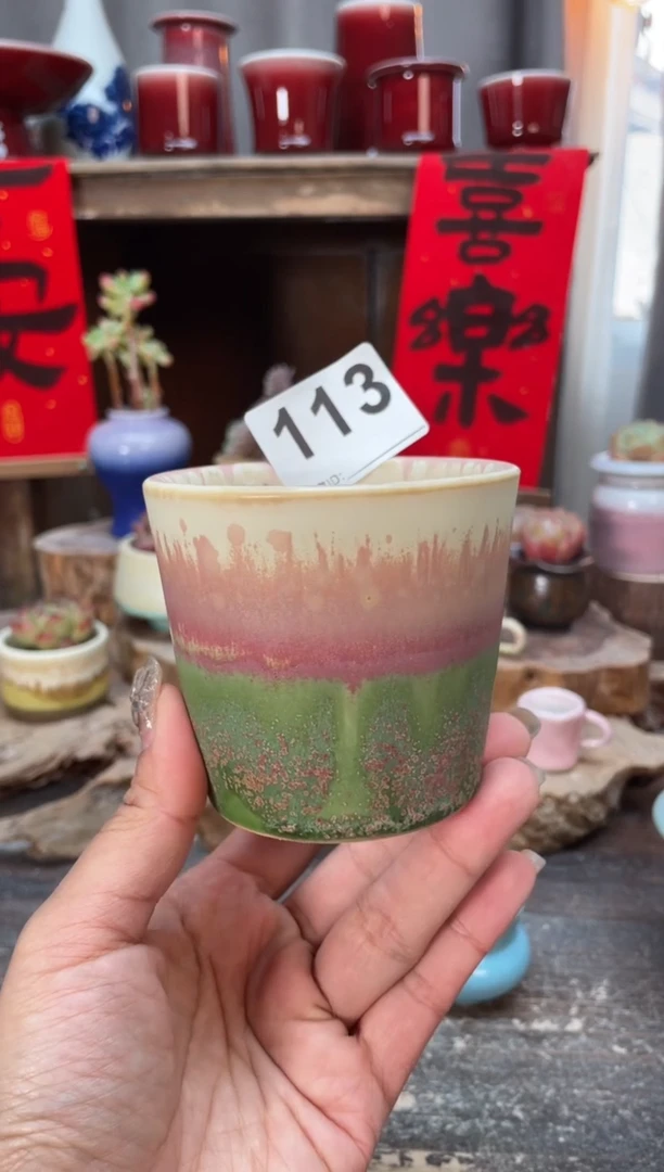 【闪购商品】摆件113知木小芳花盆