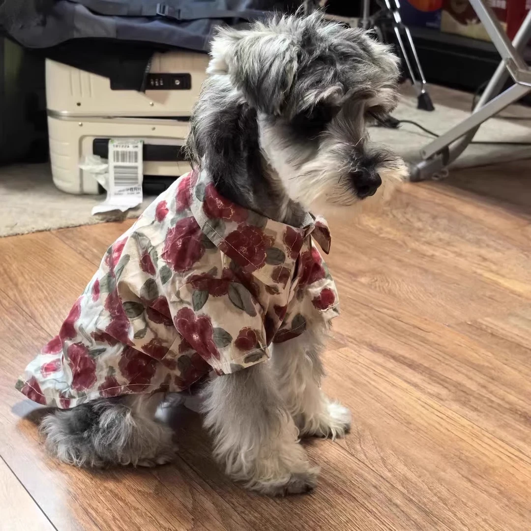 狗狗衣服夏季薄款复古风衬衫泰迪比熊幼犬空调服宠物猫咪沙滩衬衣