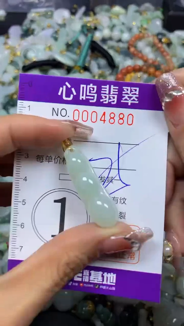 【闪购商品】翡翠颈饰未镶嵌闪购004880