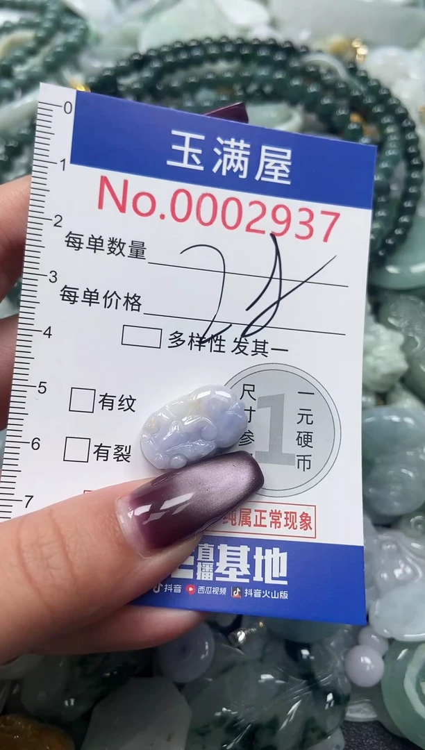 颈饰未镶嵌翡翠2937