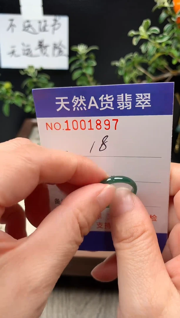 未镶嵌戒指翡翠18#
