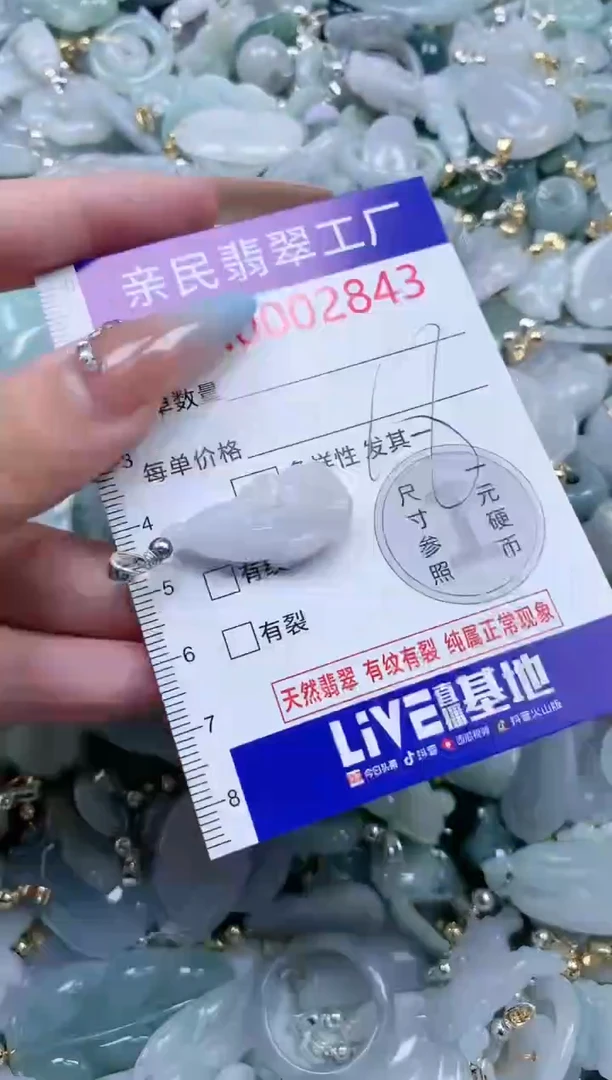翡翠未镶嵌吊坠(不含链)2843