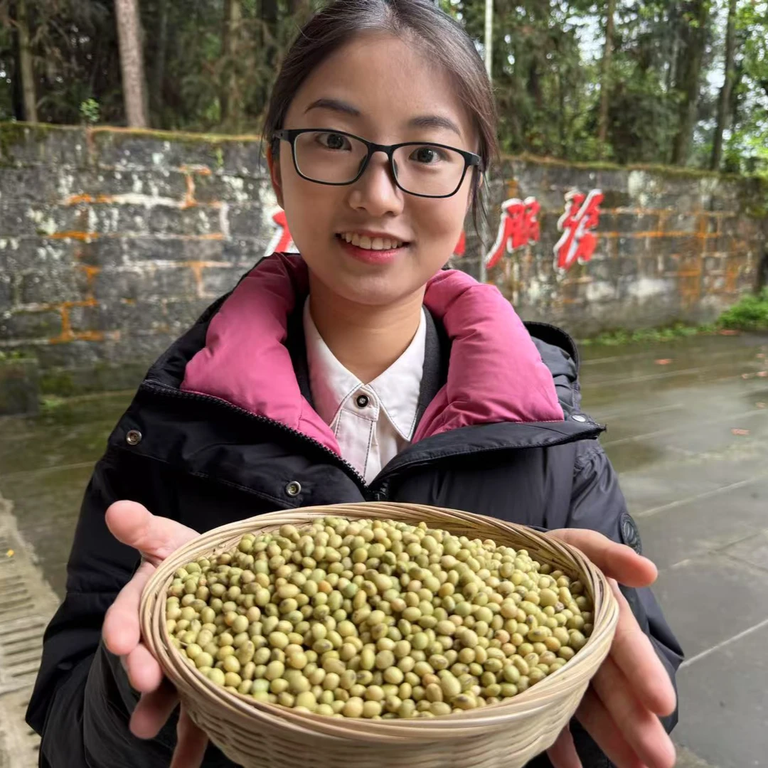黄豆3斤 农户家自己种的黄豆