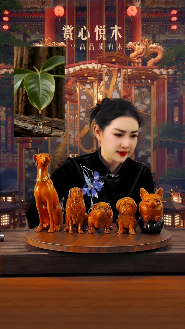 木金丝柚木五只犬