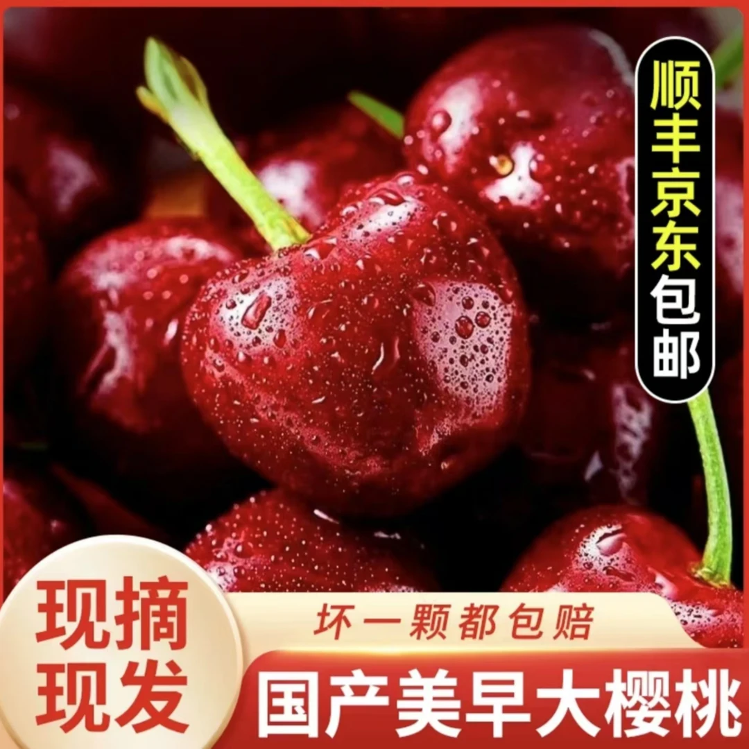 【送2斤】新鲜美早大樱桃应季水果孕妇水果空运/陆运YT-S