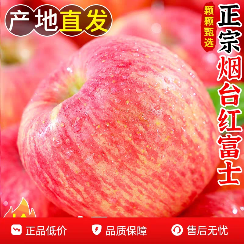 烟台红富士脆甜多汁整箱产地直发商品图