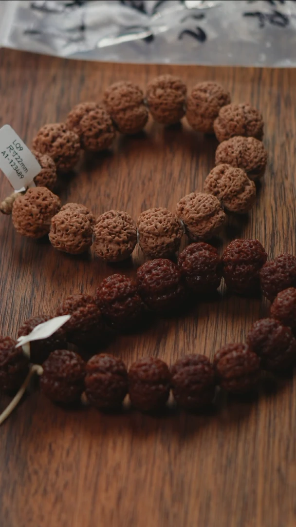 金刚菩提手串金刚菩提生态超头狠货21尺