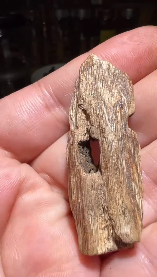 沉香沉香碎屑芽庄虫漏1.6克