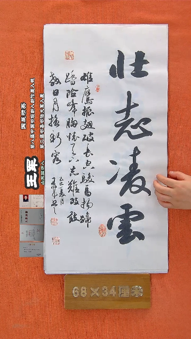 书法46王军书法作品
