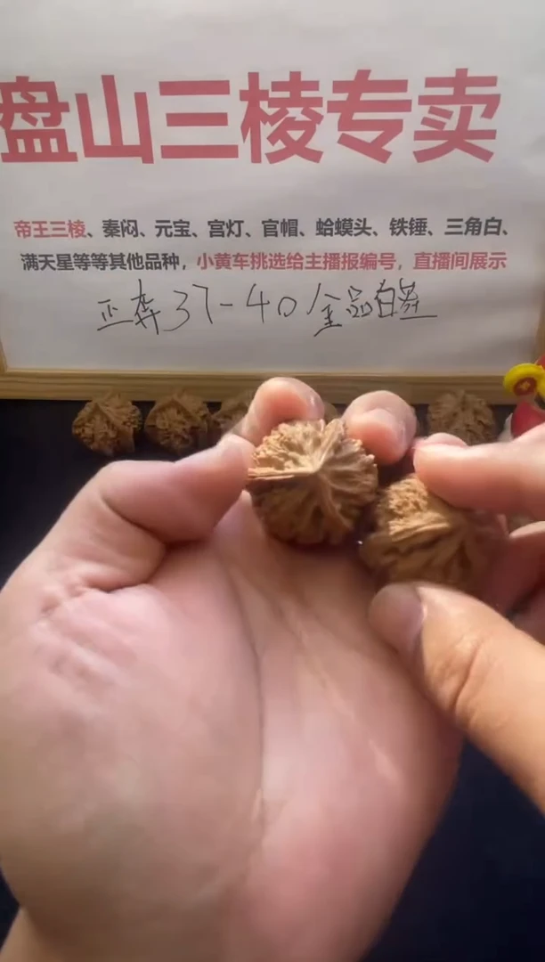 A171文山三棱【人奔】3.6尺寸3.8高全品白茬文玩核桃手把件