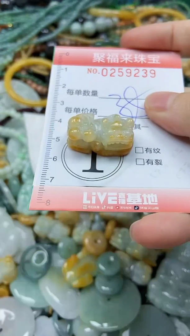 未镶嵌挂件翡翠闪购0259239