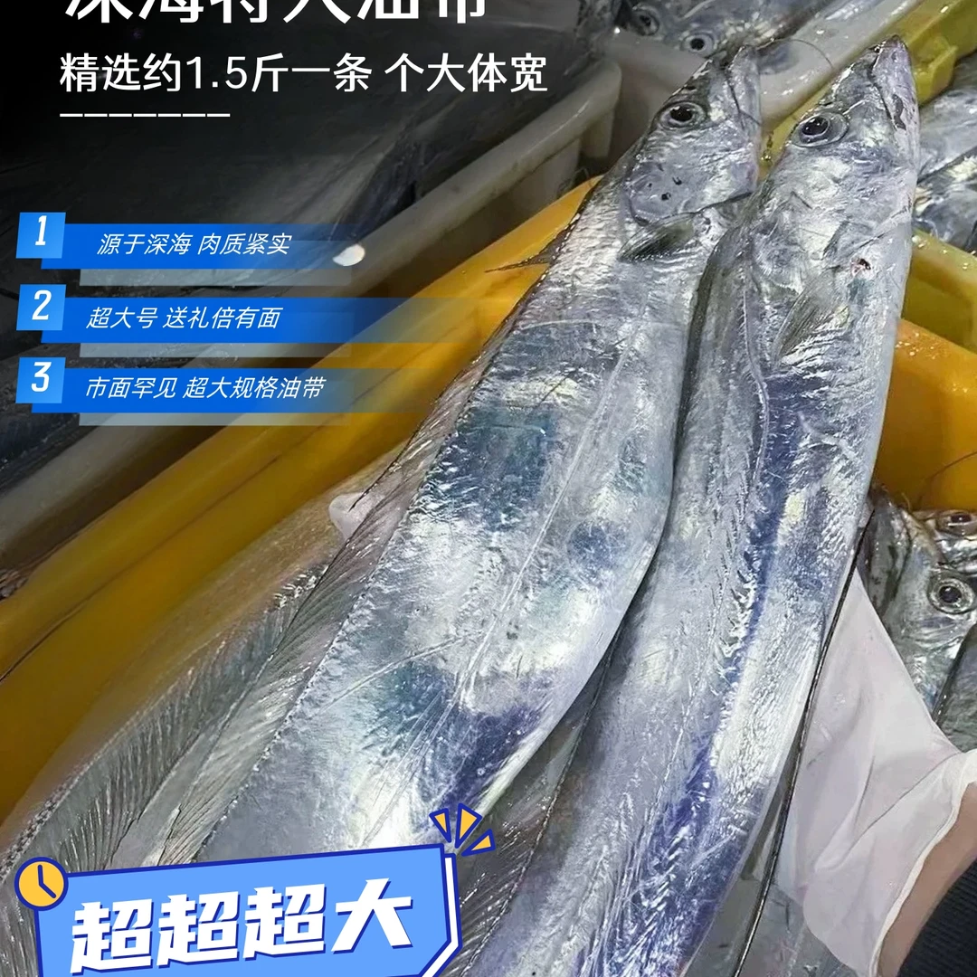 深海捕捞 五指宽大油带 单条1.5斤到手四条 约6—6.5斤33wyj