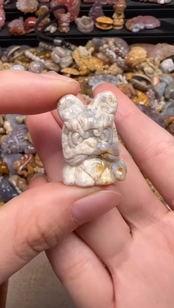硅化珊瑚（珊瑚玉）未镶嵌颈饰074
