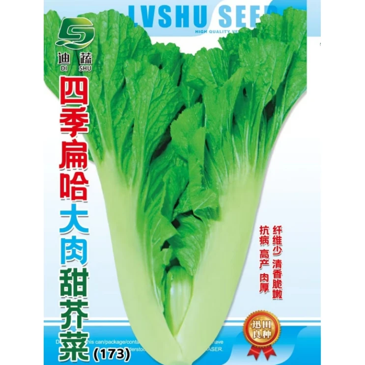 芥菜种子173*四季扁哈大肉甜芥菜种籽