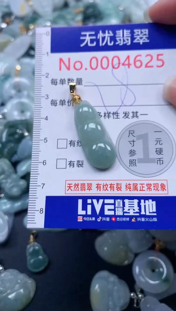 颈饰未镶嵌翡翠4625