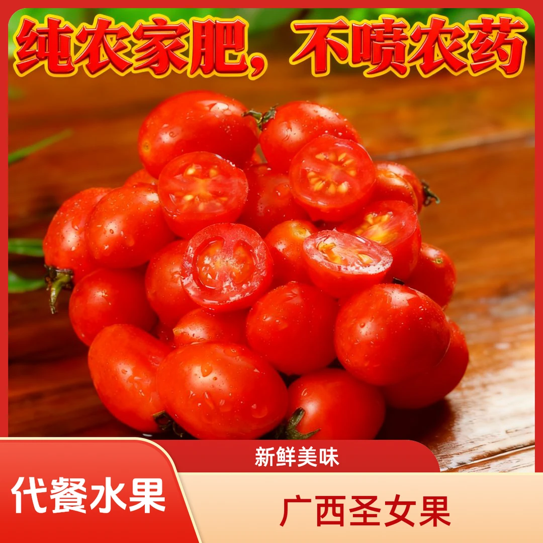 广西圣女果 小番茄助农新鲜蔬菜水果现摘