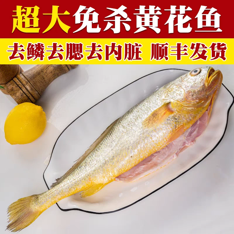 新鲜三去黄花鱼1.3斤左右每条去塞去鳞去内脏新鲜无冰衣发3条