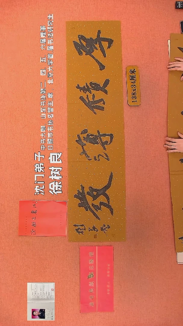 【闪购商品】书法124        徐树良书法作品