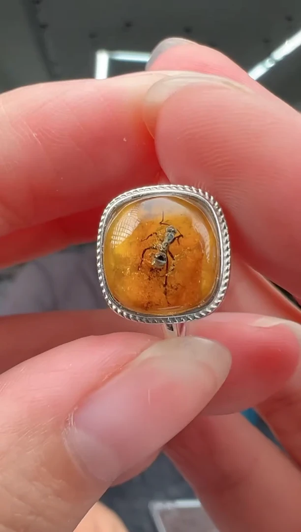 未镶嵌琥珀戒指戒指