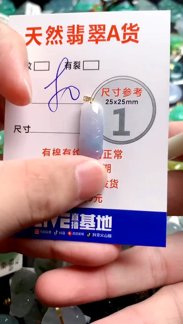 翡翠18K金镶嵌颈饰24000117
