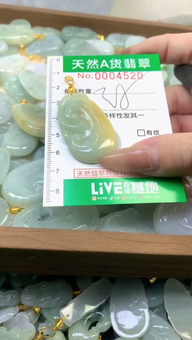 颈饰未镶嵌翡翠纯天然缅甸A货翡翠