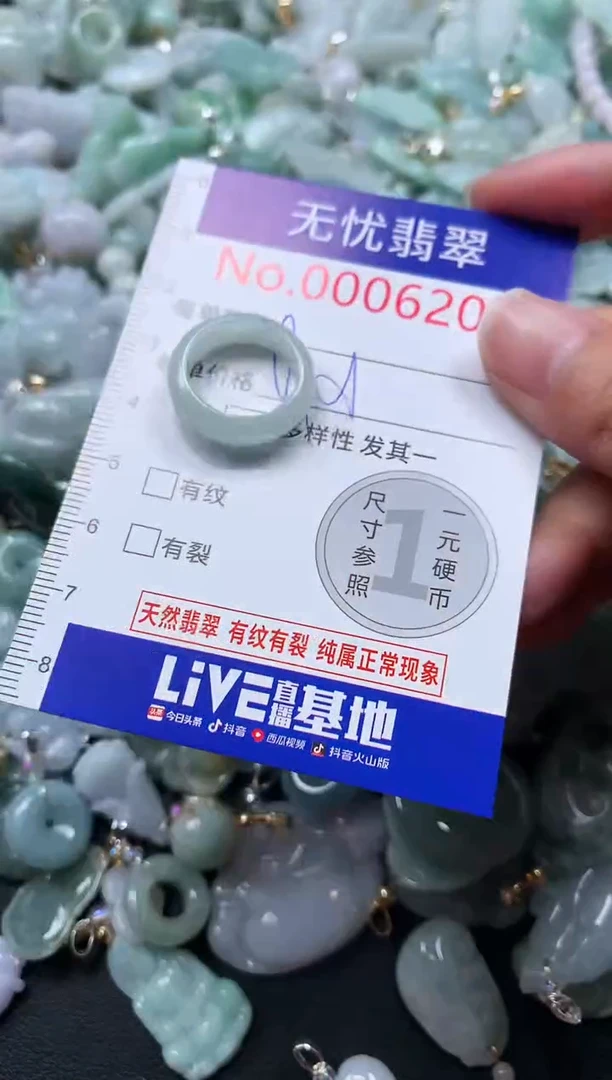 颈饰未镶嵌翡翠6205