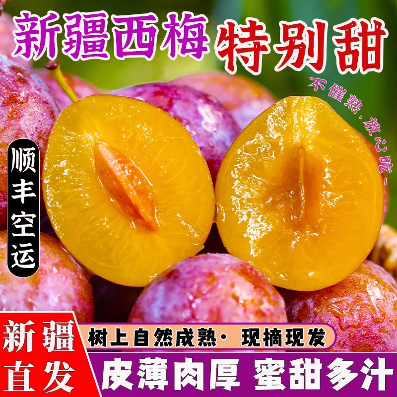 新疆西梅新鲜水果当季整箱孕妇应季3-4斤空运喀什小法兰西西梅